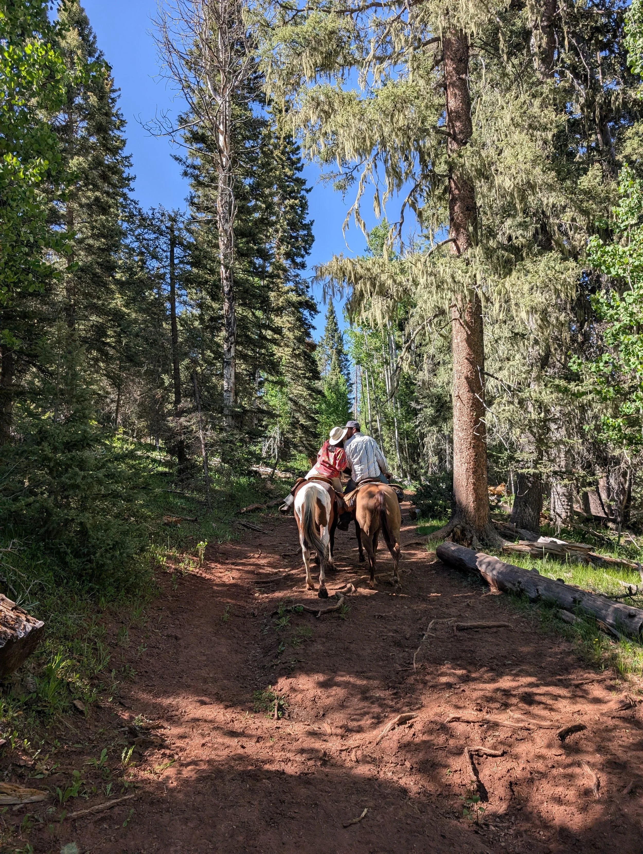 cattle drive 3 Mary and Daniel.JPEG