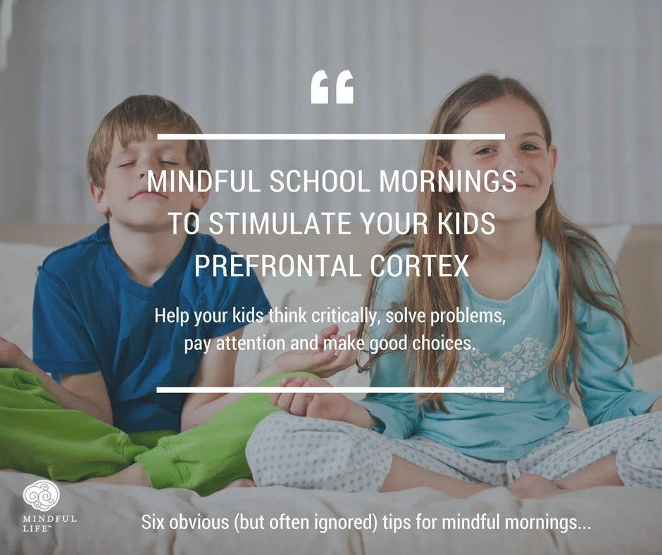 mindful-life-mindfulness-quote2.jpg