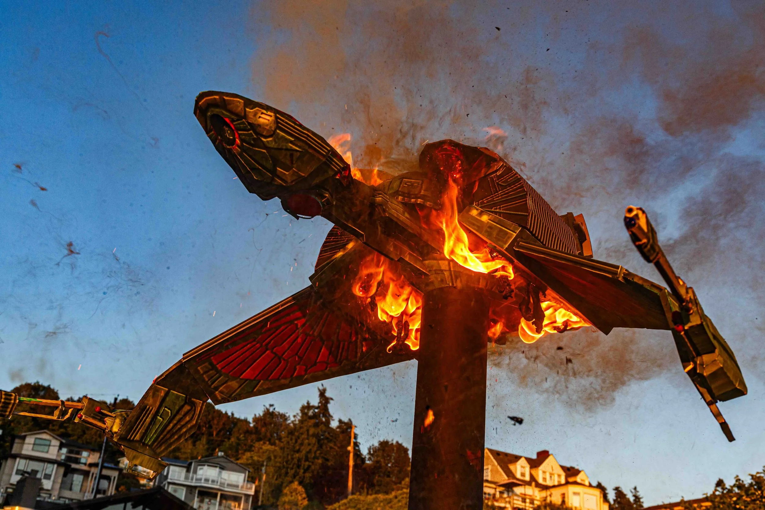 warbird 2 252A2299.jpeg