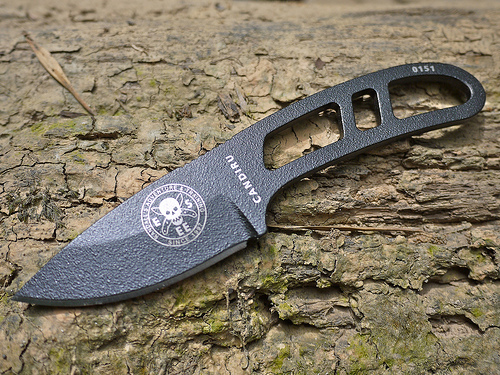 esee_feat.jpg