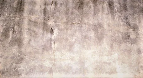 a6507a4c0c0ed1a8717b829d88799f76 2.jpg