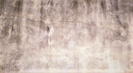 a6507a4c0c0ed1a8717b829d88799f76 2.jpg