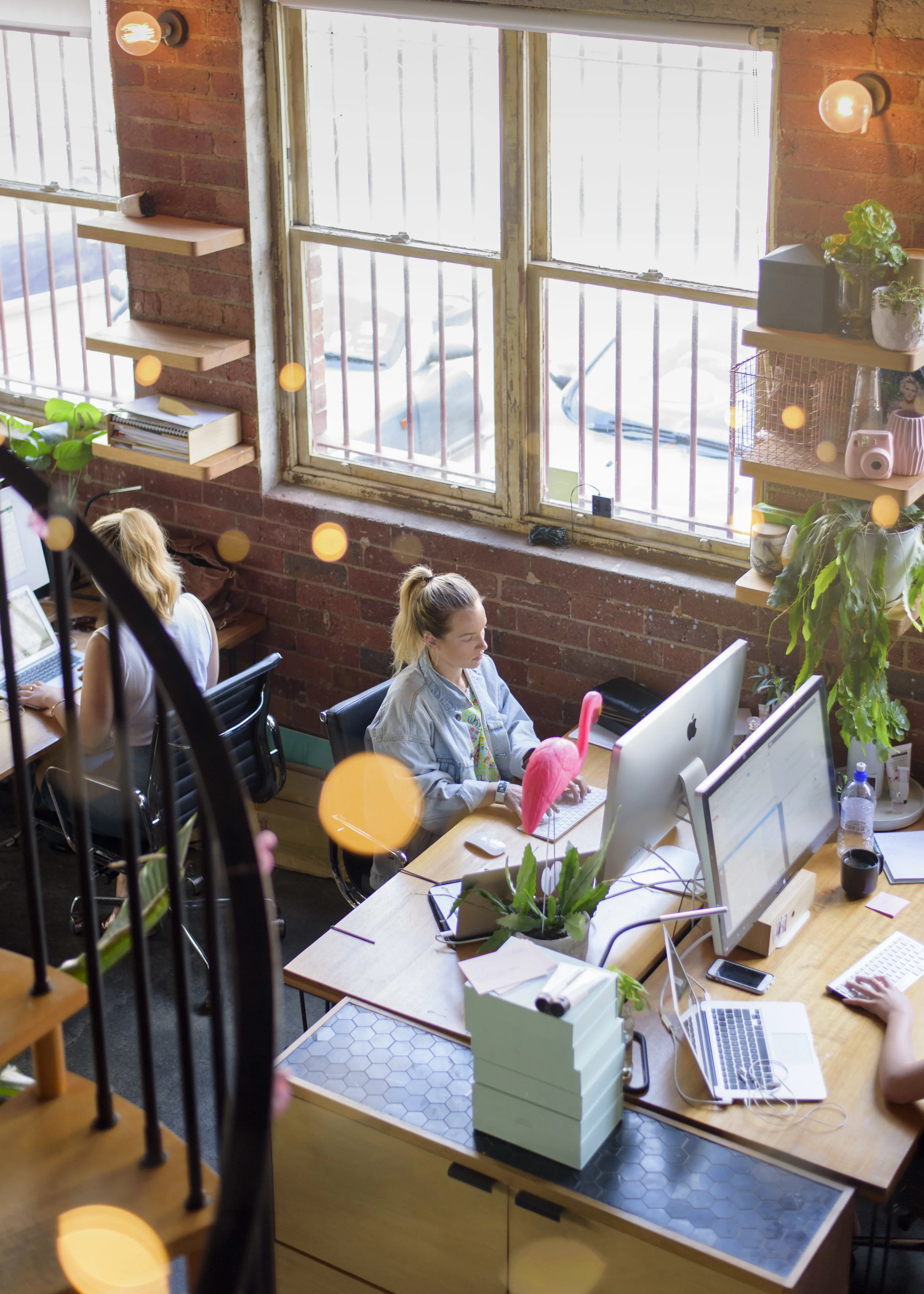 Urban Outfitters - Frank Body Studio Visit