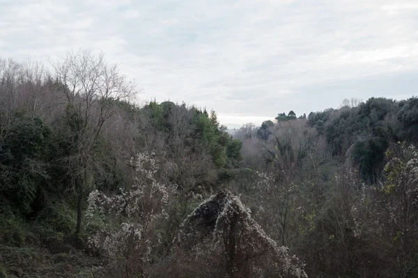 Rome and its multitude. Villa Pamphily January 2015.