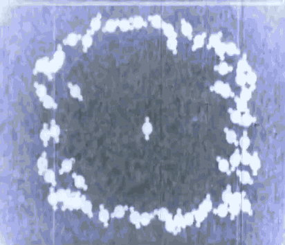 tumblr_mxppihacOh1qk4ealo3_500.gif