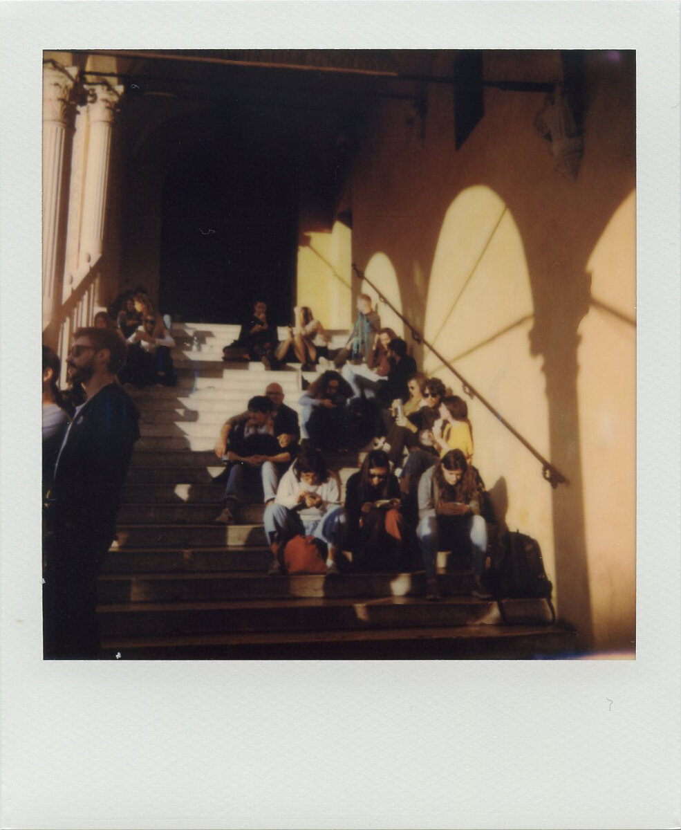 POLAROIDS IPL3.jpg