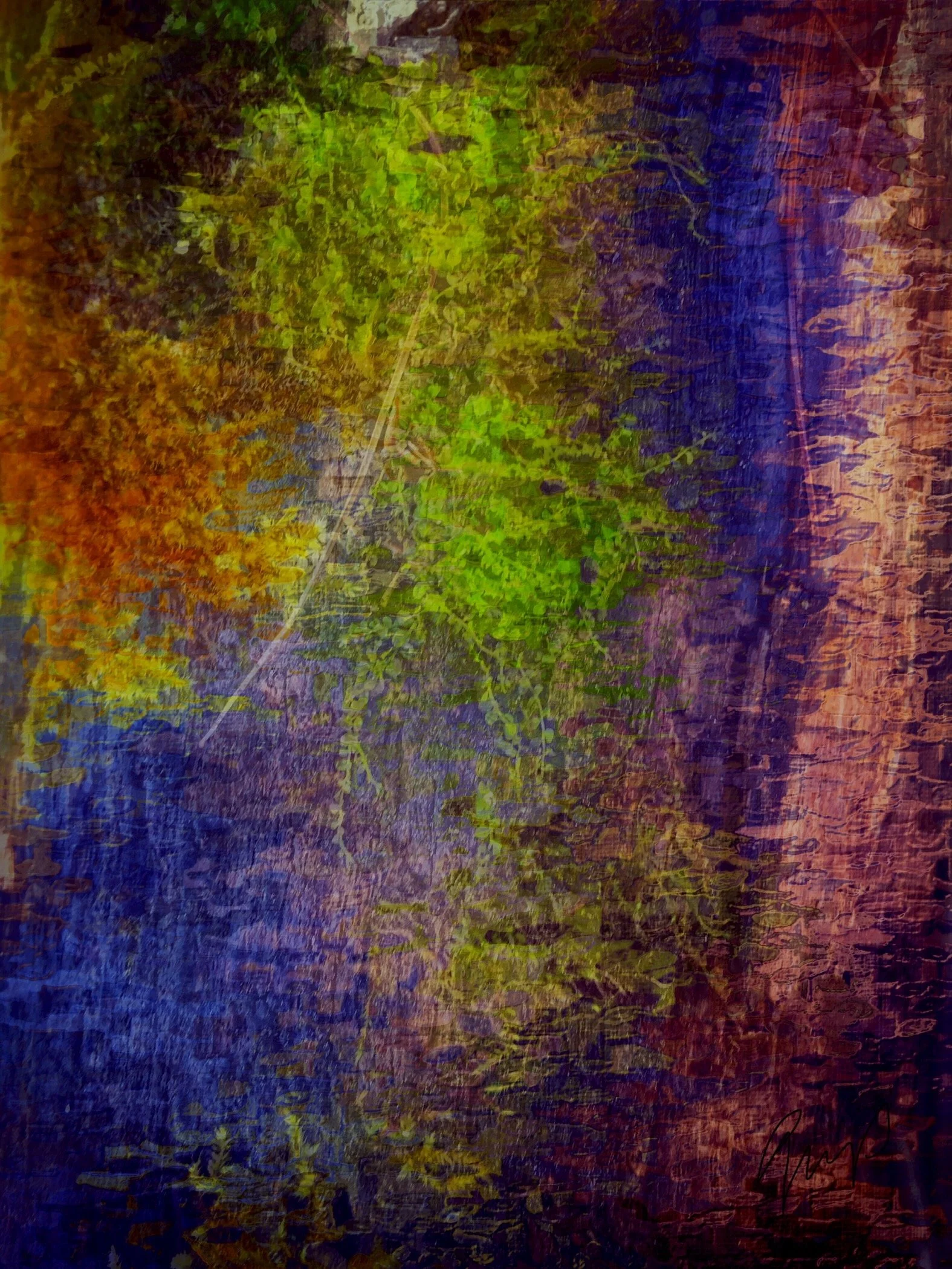 Enlight45.JPG