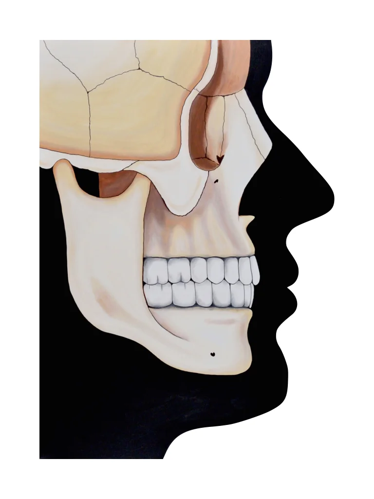 Profile with Skeleton