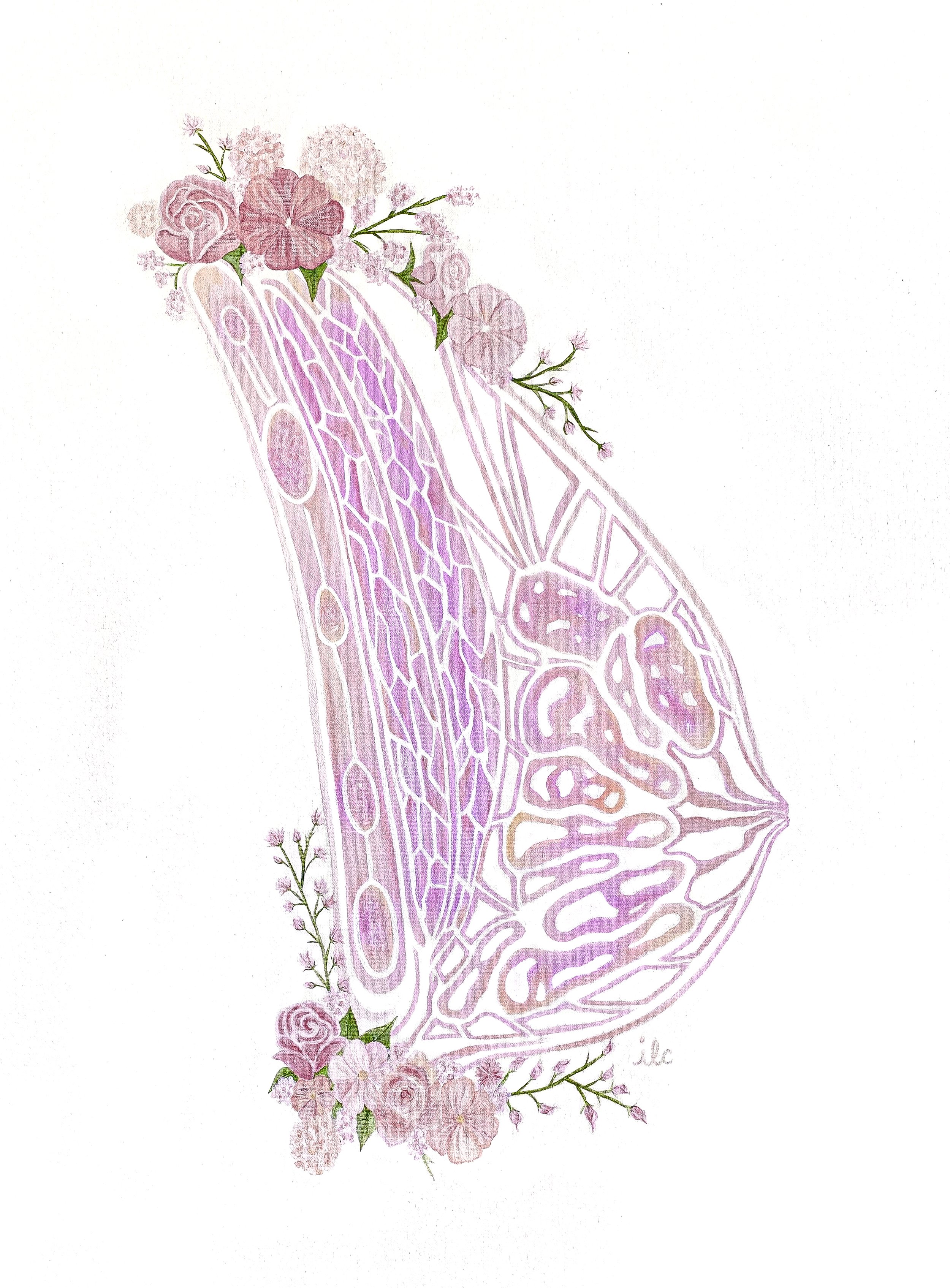 Floral anatomy5.jpg