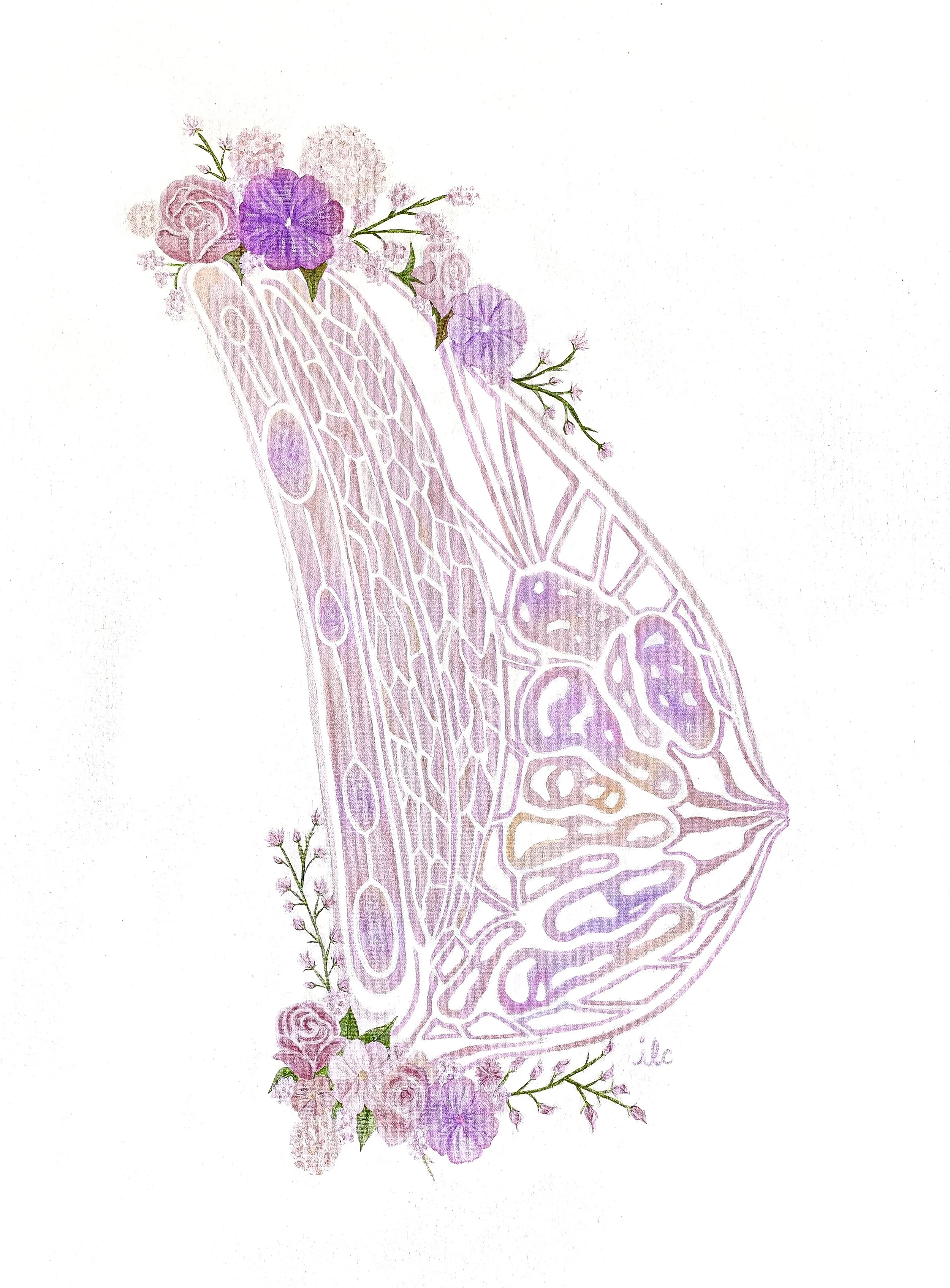 Floral anatomy9.jpg