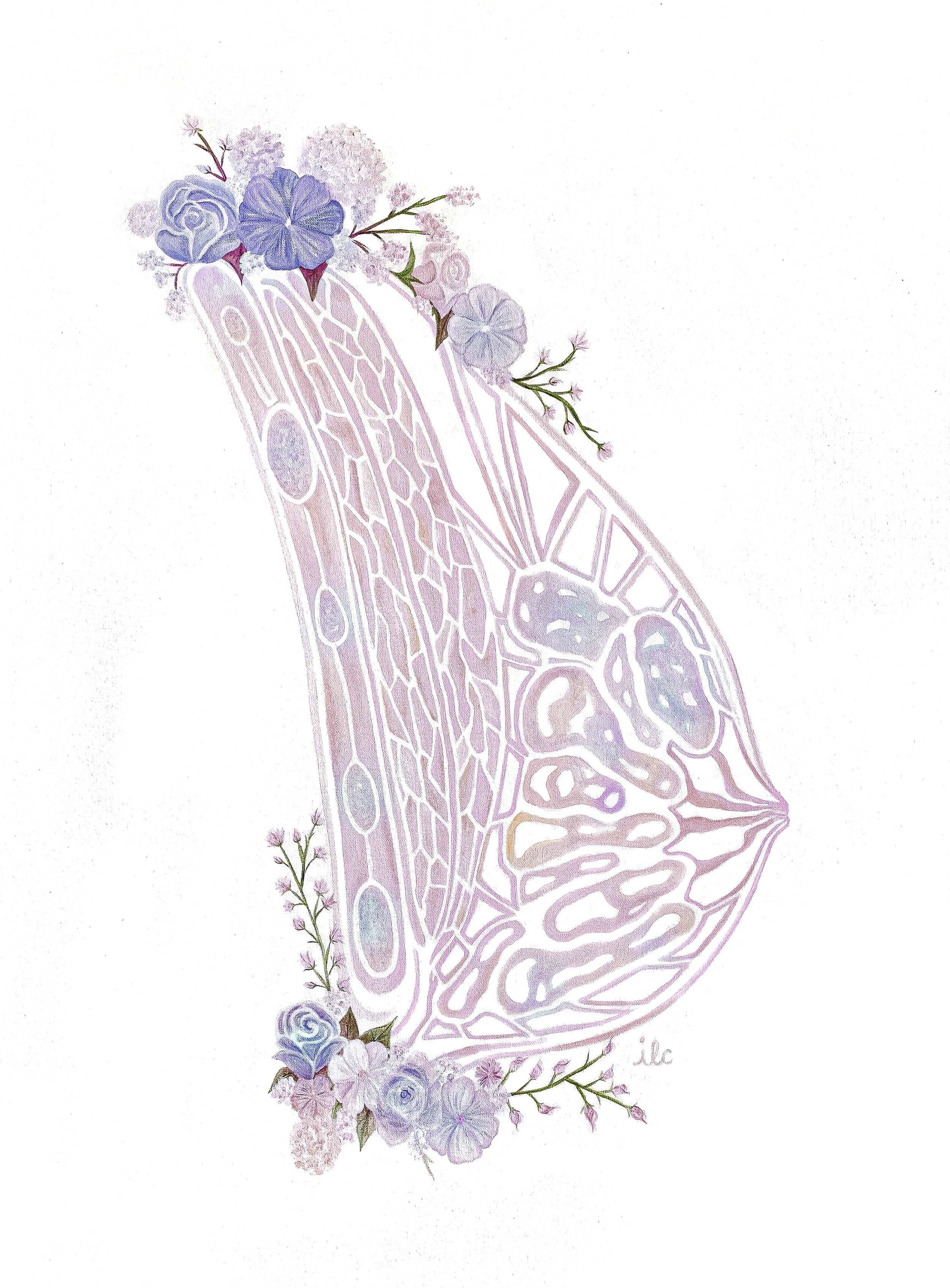 Floral anatomy3.jpg