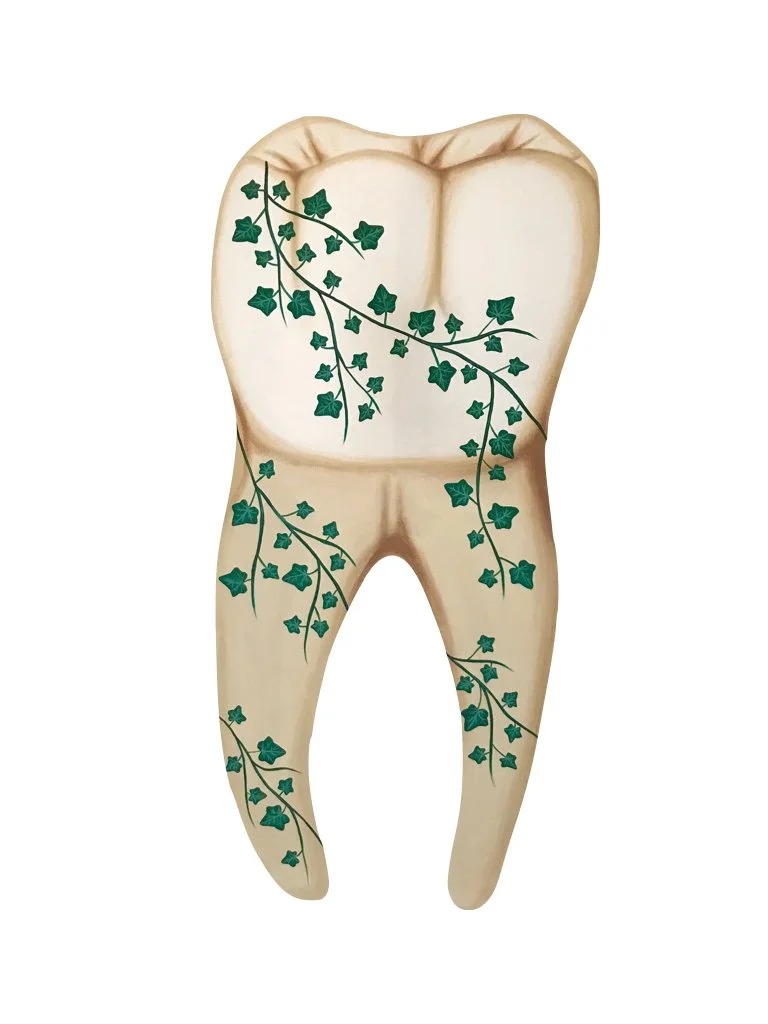 AKA Ivy Molar.001.jpeg