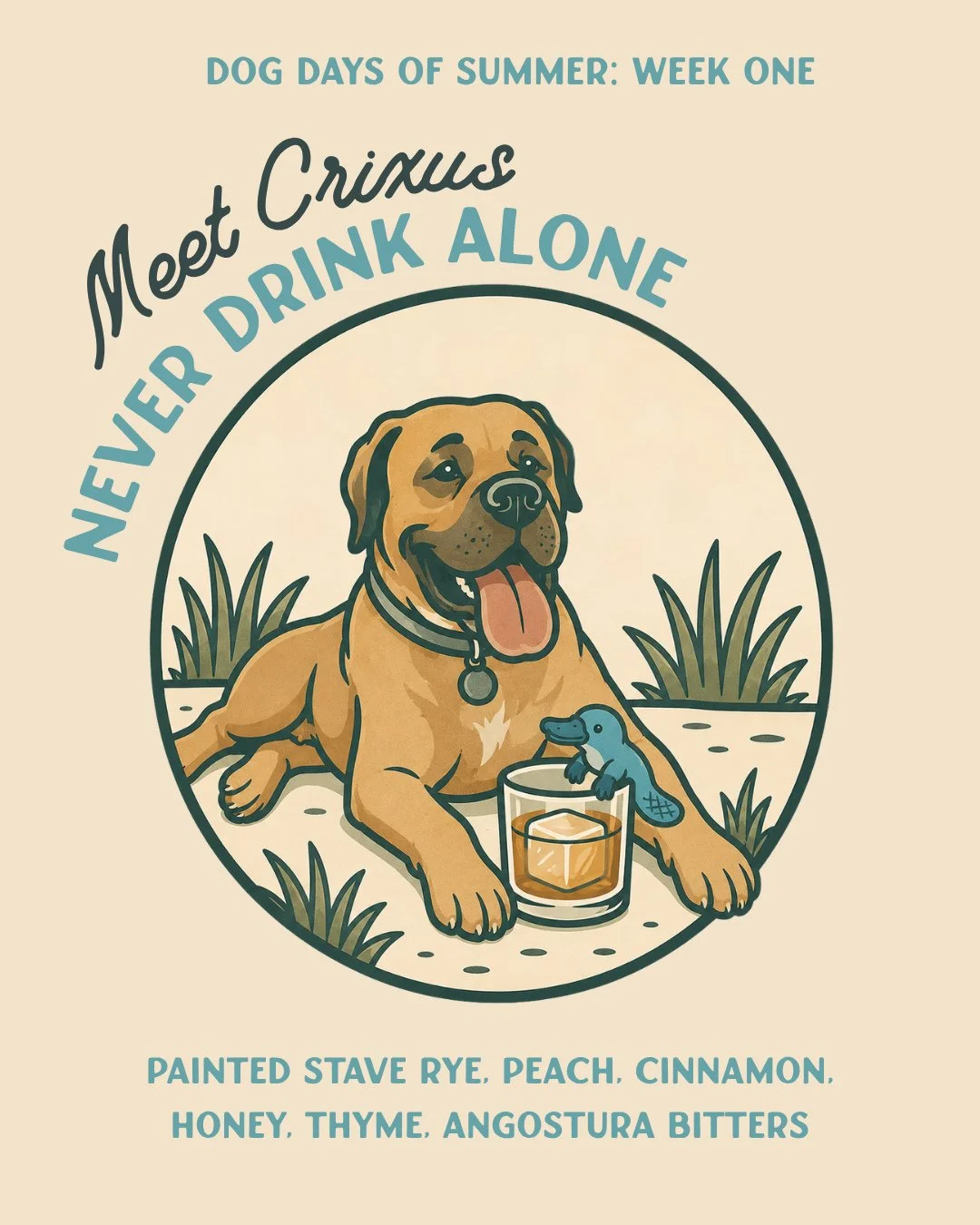 MEET CRIXUS | He may be big, but a gentler giant does not exist. Often found with his blue platypus stuffy in tow, Crixus enjoys lounging in the sun and watching the world go by, all while keeping a close eye on his humans, especially if they might b