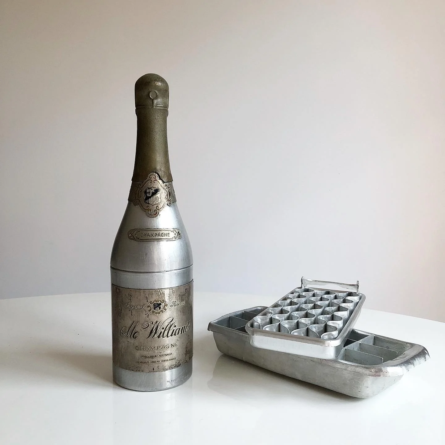 champagne bottle + icetray.JPG