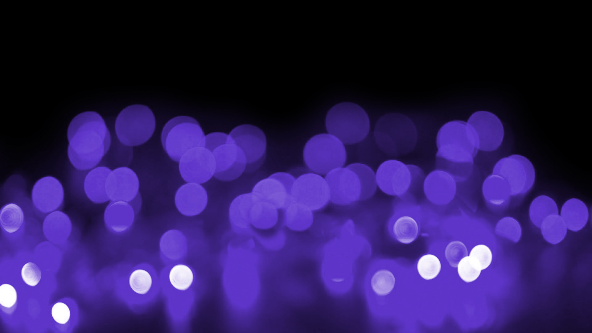 purpleBG_v2.jpg