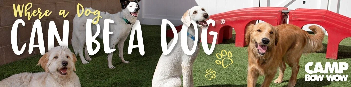 Camp Bow Wow