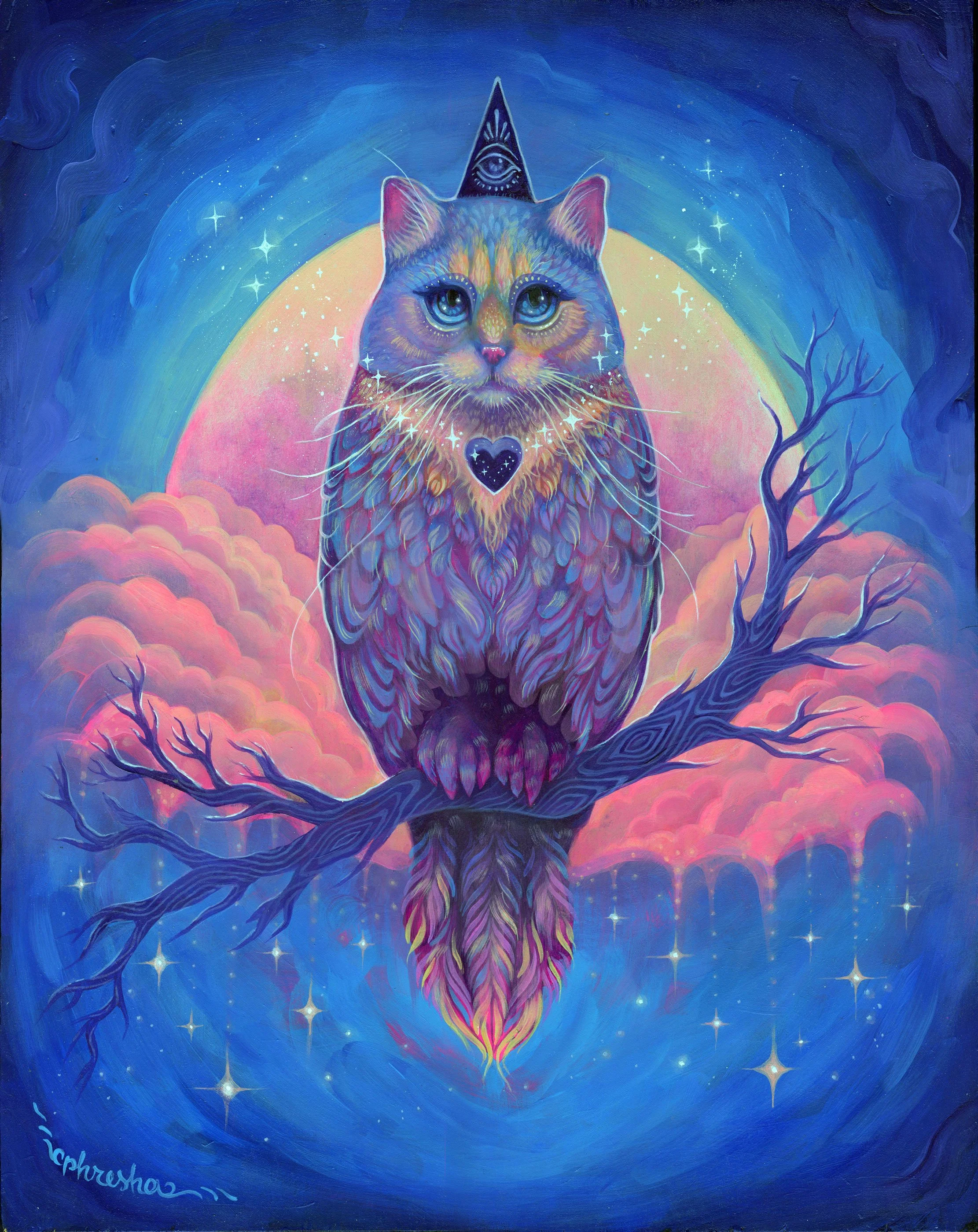 The Midnight Meowl
