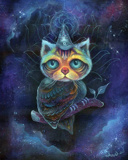 Midnight Meowl