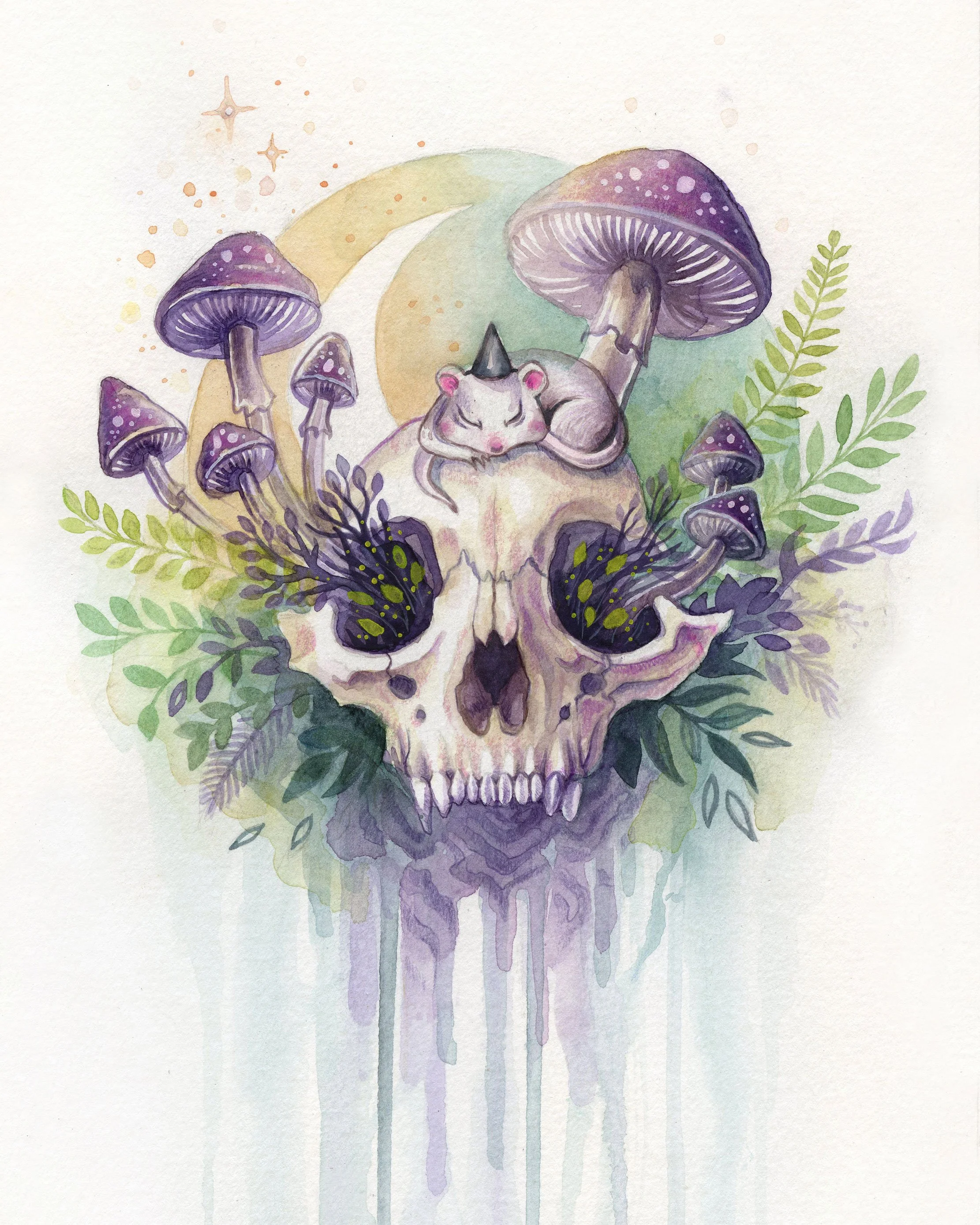"The Mycelial Dream"