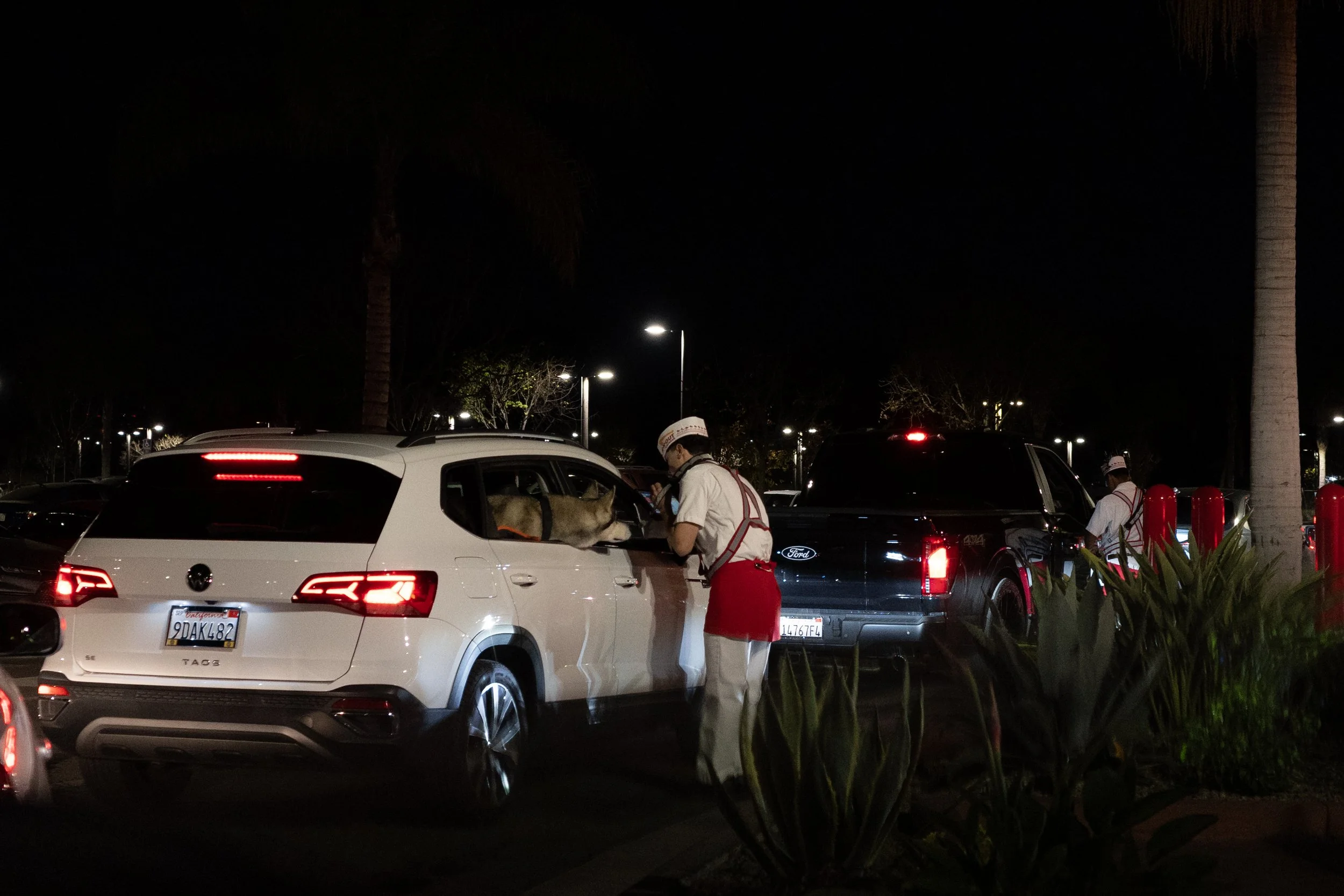 Husky at In n Out.jpg
