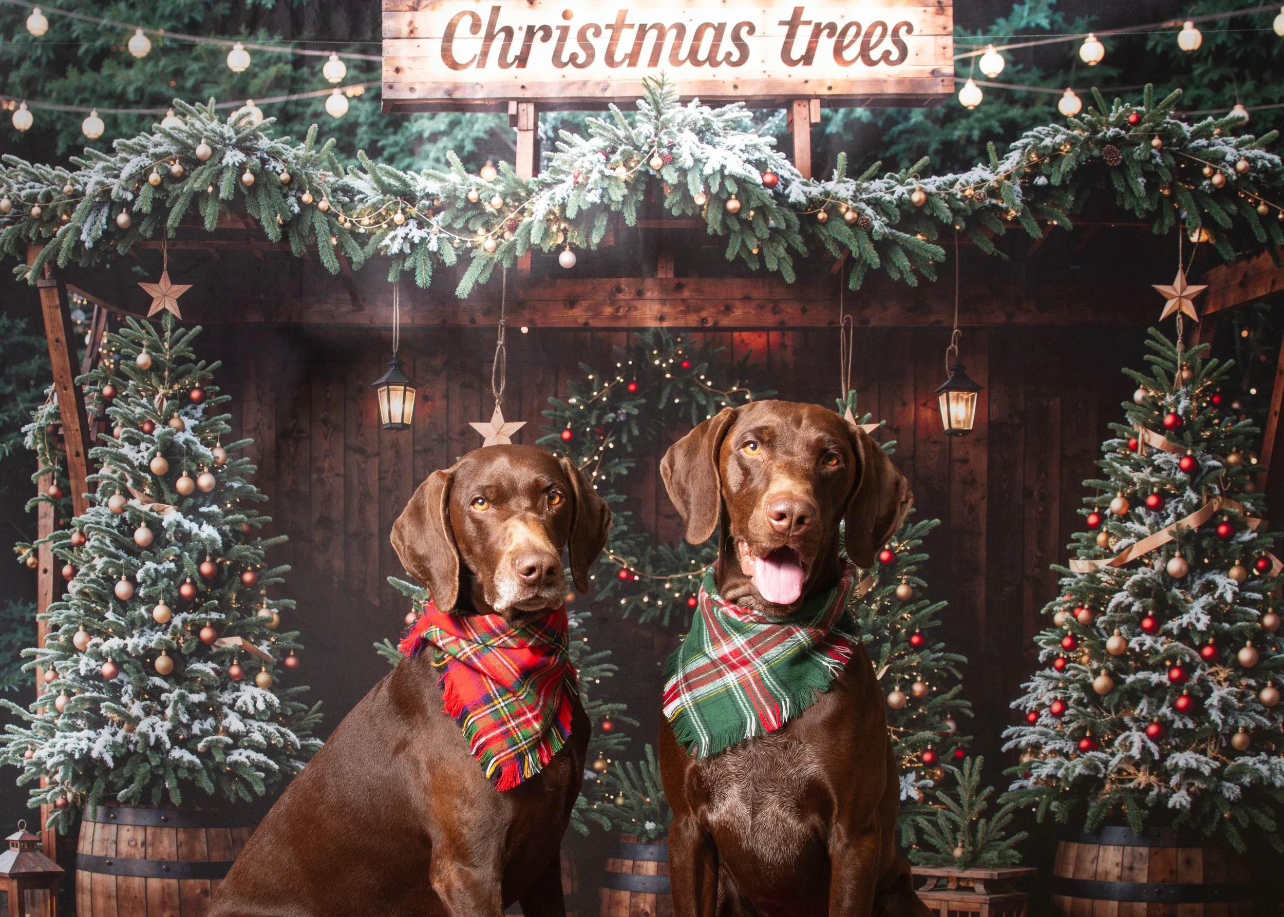 Ava and Reese, 2024