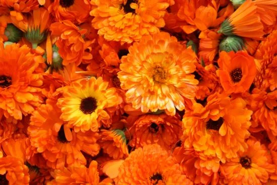 114055display.jpg