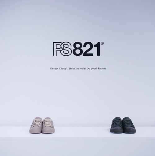 ps821 5.jpeg
