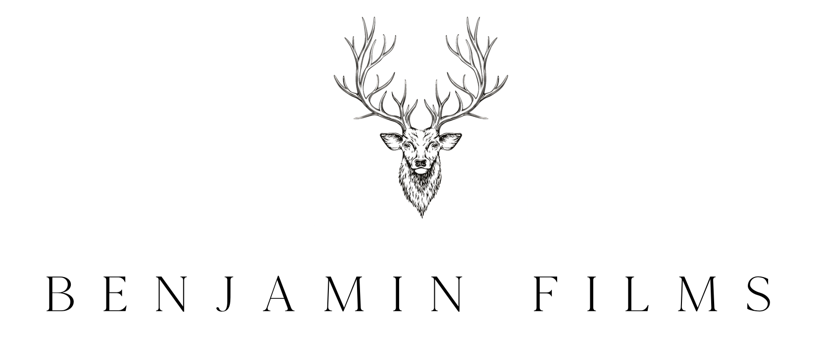 website logo.png