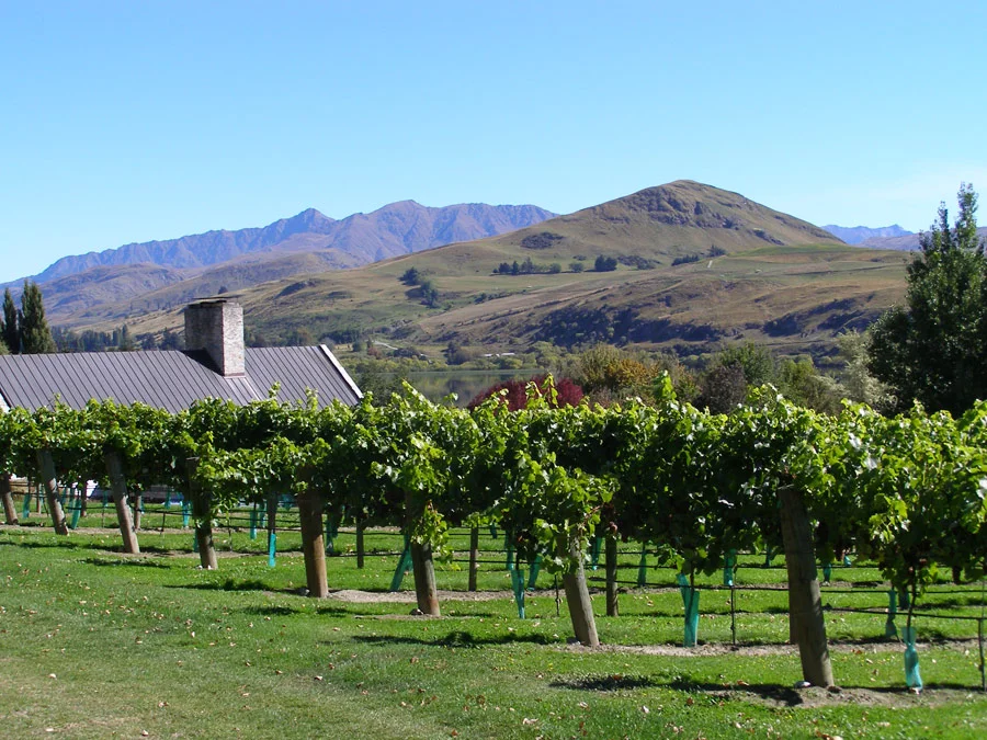 Image via Queenstown Wine Trail