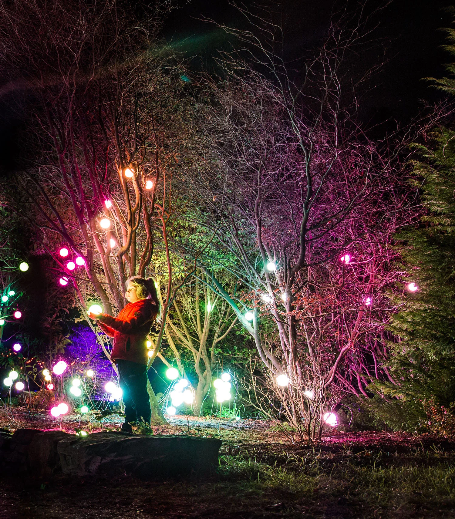 Experience the Magic...Celebrate the Light!