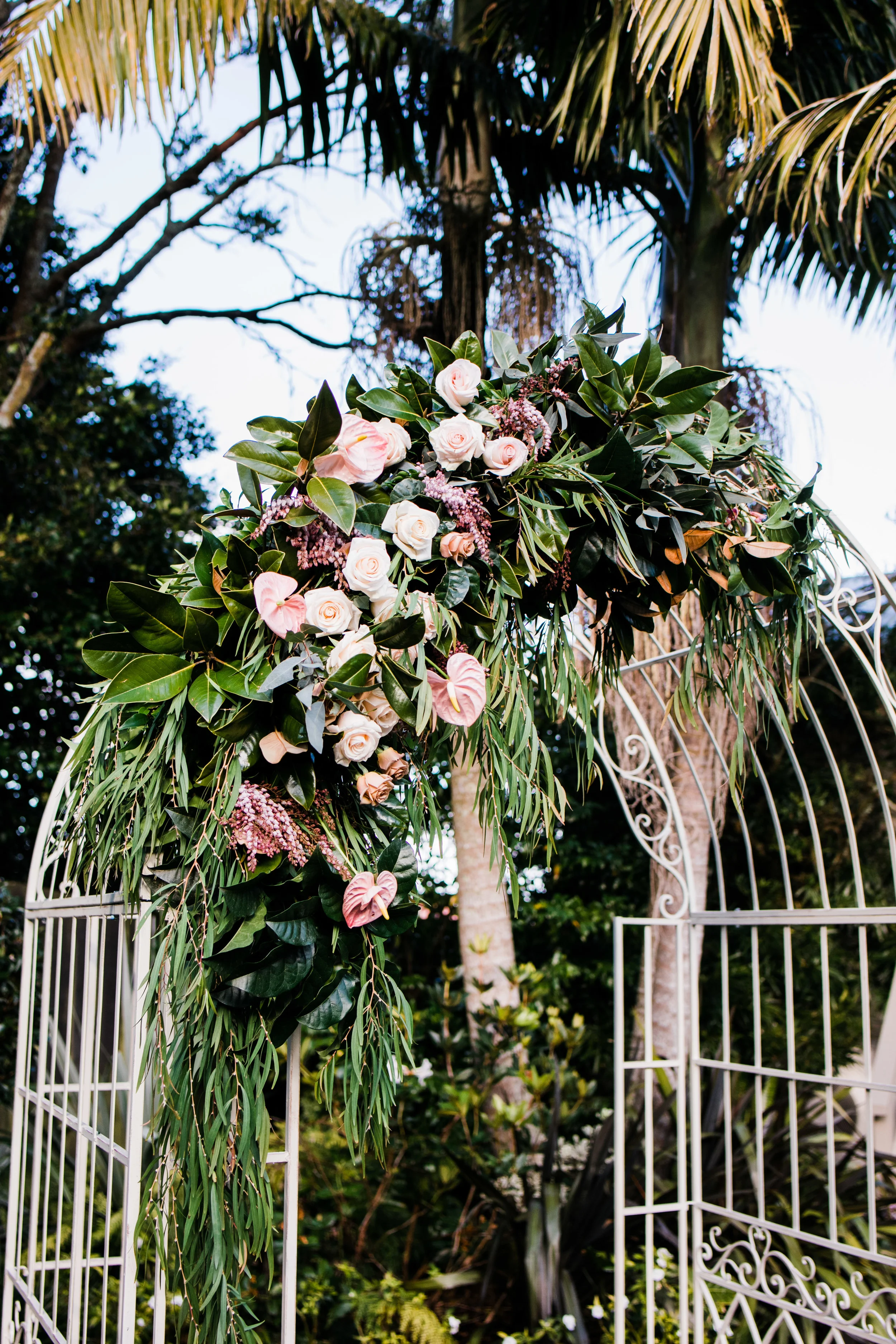  Photograph by WonderFerris Photography 