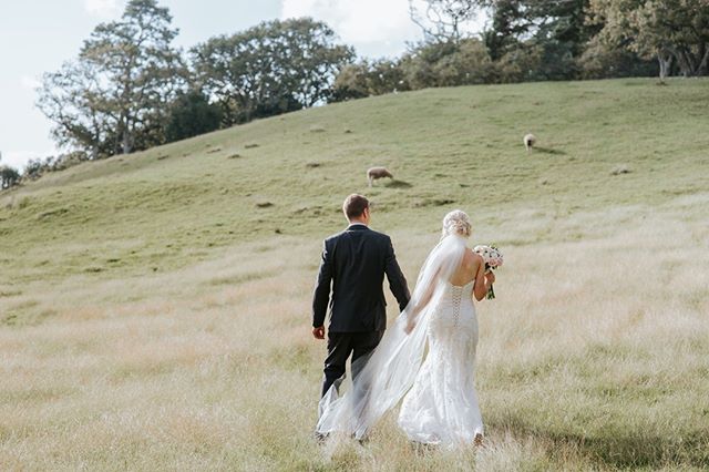 Not a bad landscape at our doorstep ⁠
⁠
Captured by @ivelinavelkovaphotography⁠
⁠
⁠
⁠
#sorrentointhepark #aucklandweddings #aucklandweddingvenue #aucklandeventvenue #aucklandconference #aucklandconferencevenue #nzweddings #nzweddingvenue #newzealandw