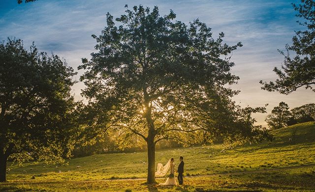 Cornwall park putting on a show, looking forward to more summer nights like this. ⁠
⁠
⁠
#sorrentointhepark #aucklandweddings #aucklandweddingvenue #aucklandeventvenue #aucklandconference #aucklandconferencevenue #nzweddings #nzweddingvenue #newzealan