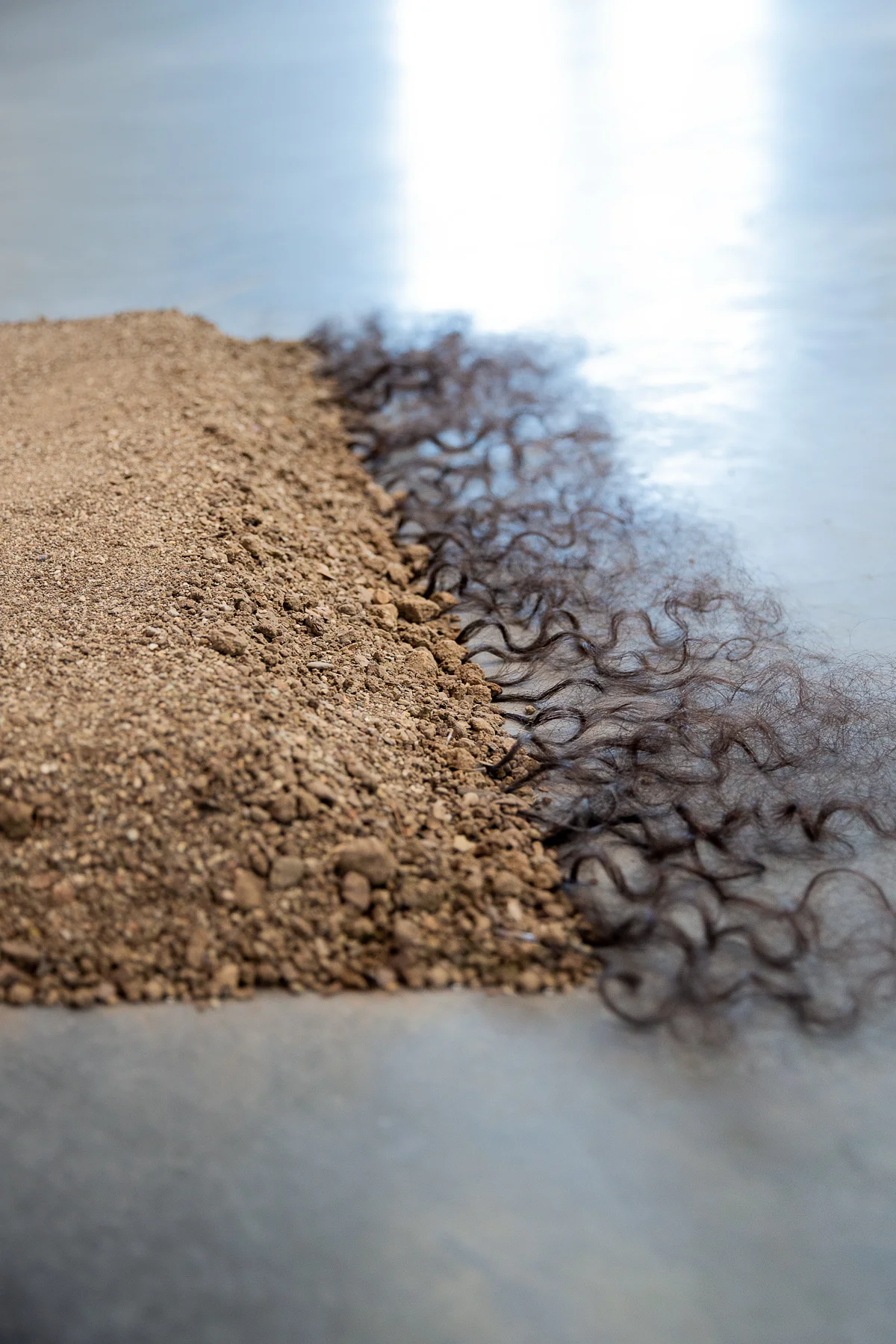The Rug