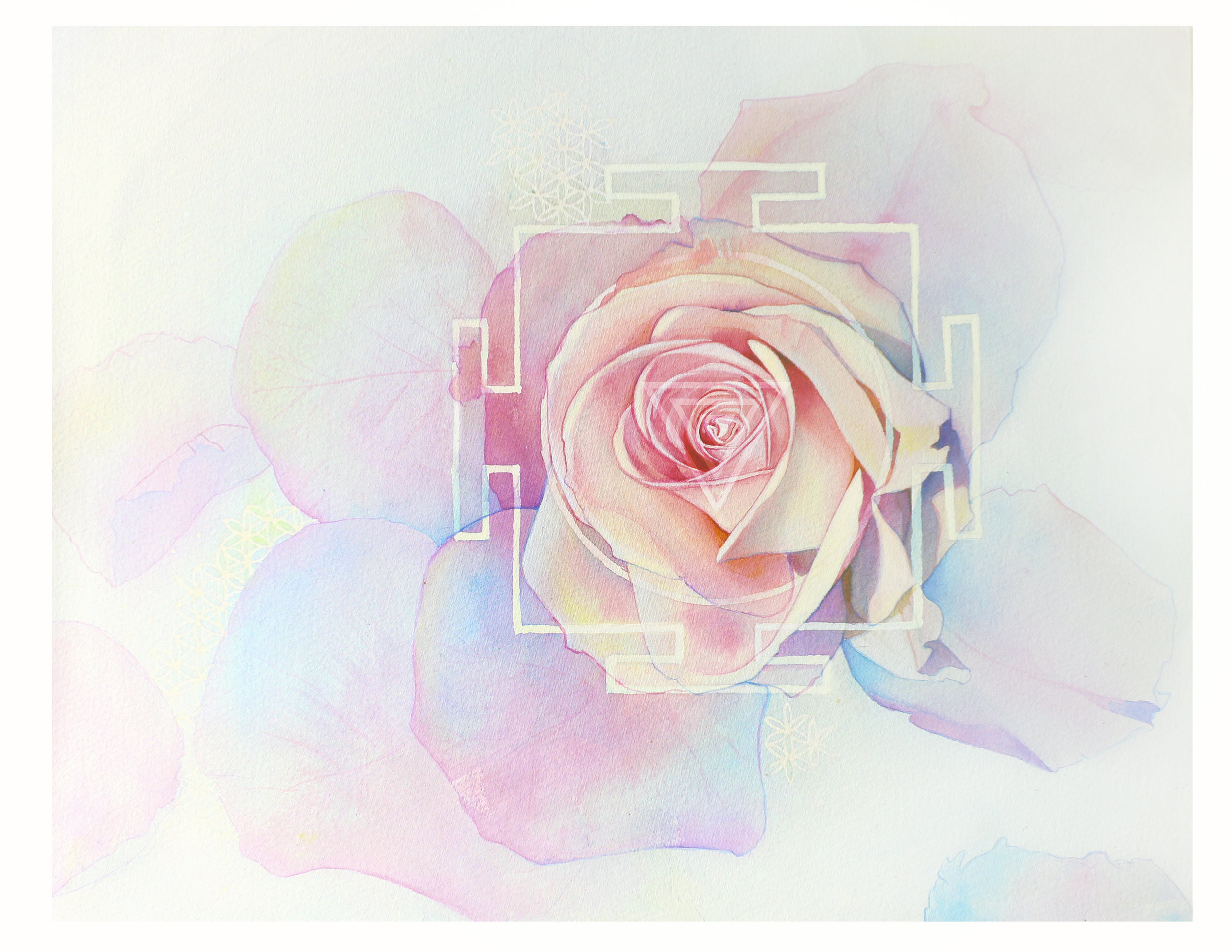 rose8x10on8.5x11.jpg