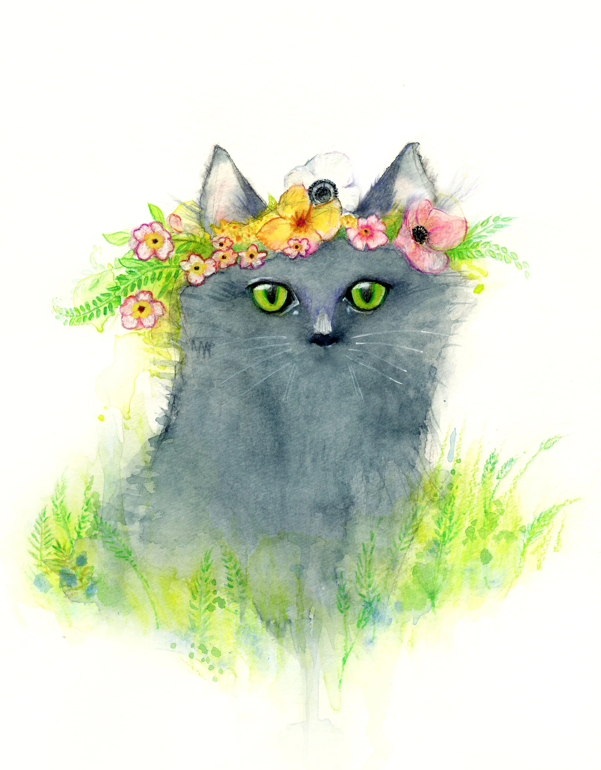 Springkitty.jpg