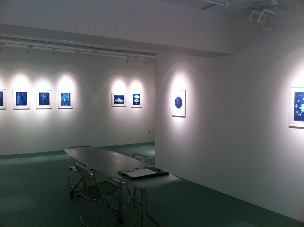 "Conversation with Blue" 2012