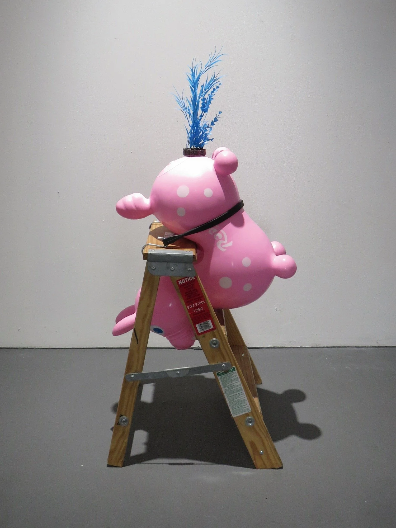 緒方 数馬 Kazuma Ogata — CLEAR GALLERY TOKYO