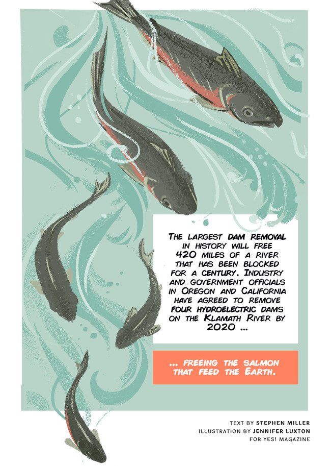 salmon-comic-7.jpg