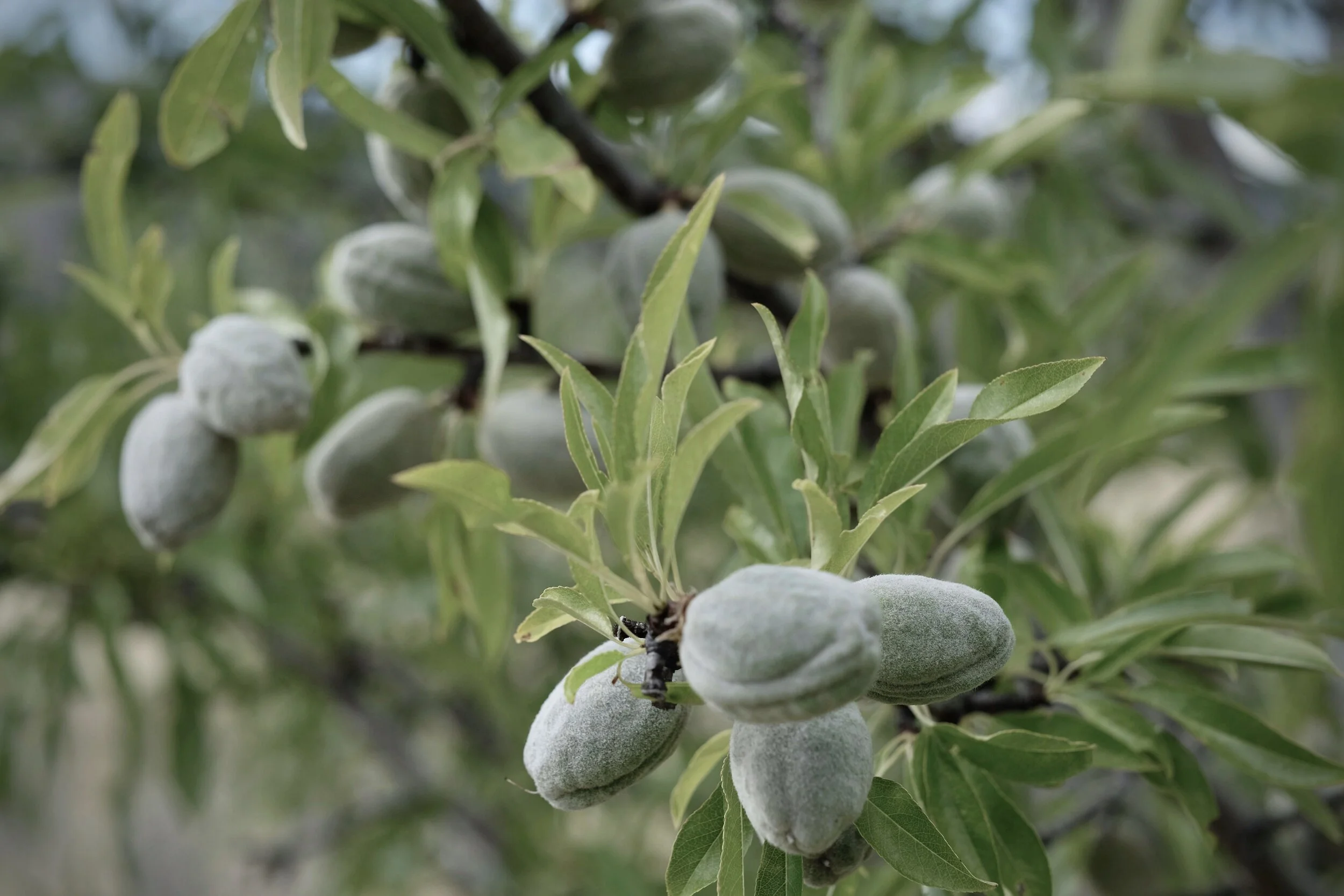 Image 2-07-20 at 5.12 PM.jpeg