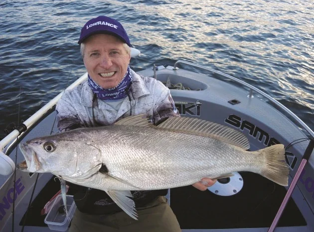 Jewie populations have increased since the closure of commercial netting.