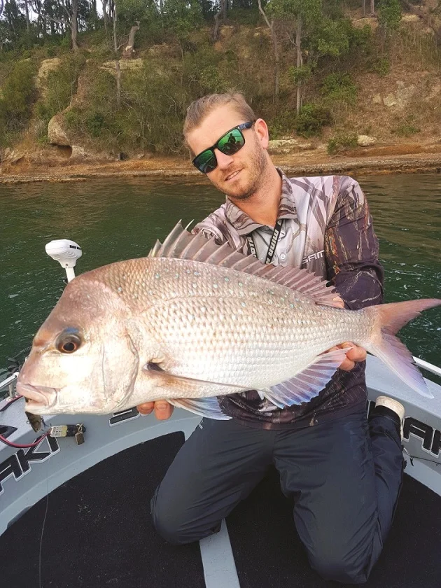 There are increasing reports of good sized snapper being caught.