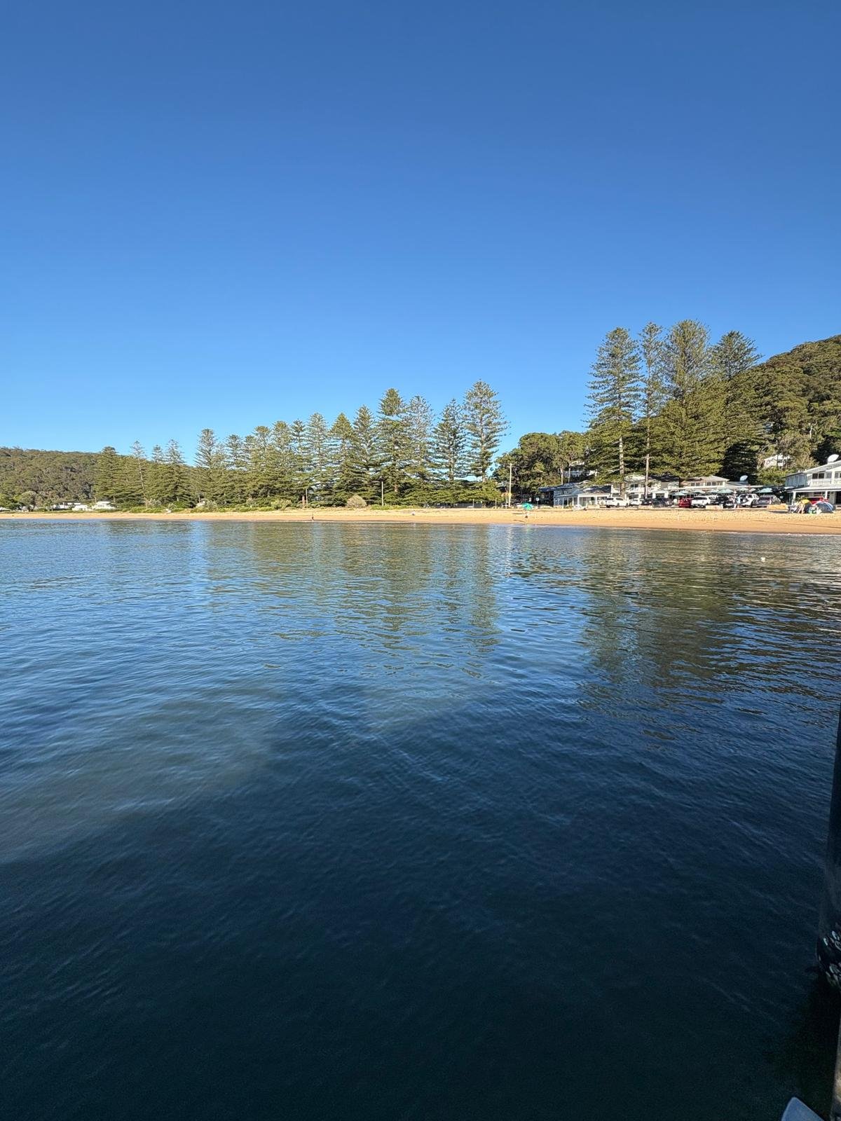 WhatsApp Image 2026-01-10 at 5.38.59 PM (6).jpeg