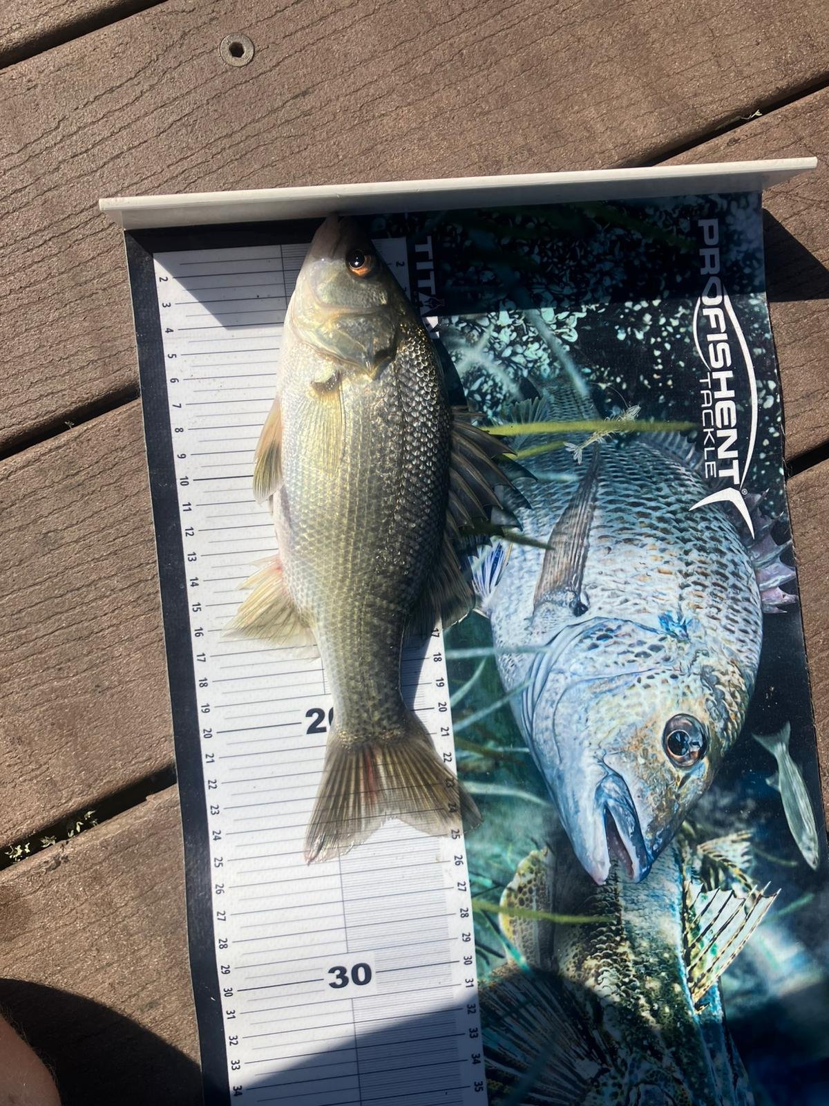 WhatsApp Image 2026-01-24 at 4.45.38 PM.jpeg