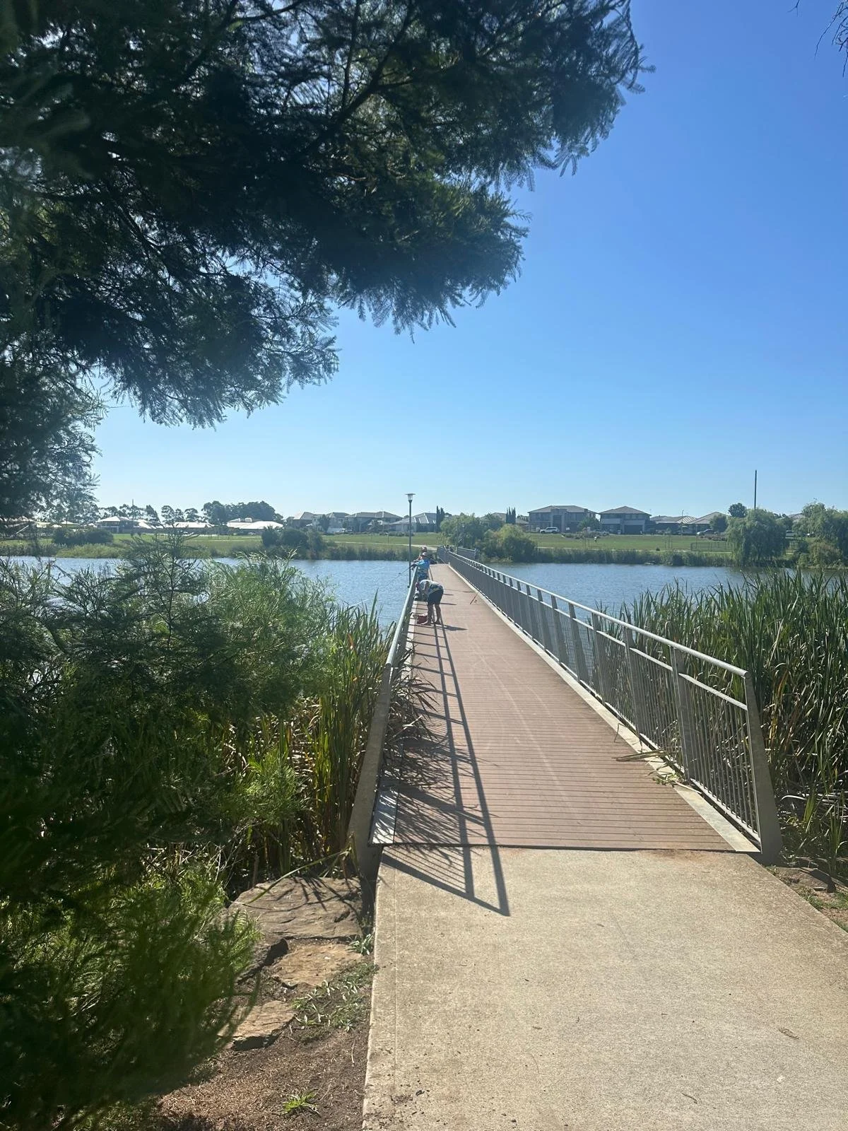 WhatsApp Image 2026-01-24 at 8.46.10 PM.jpeg