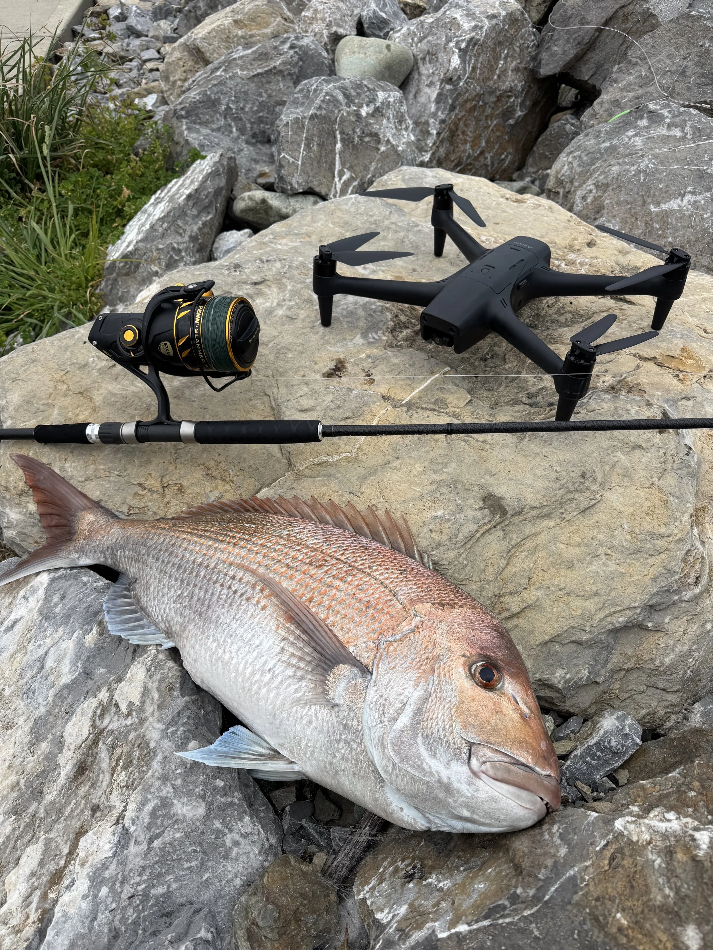 Cameron Thomas 4.jpeg