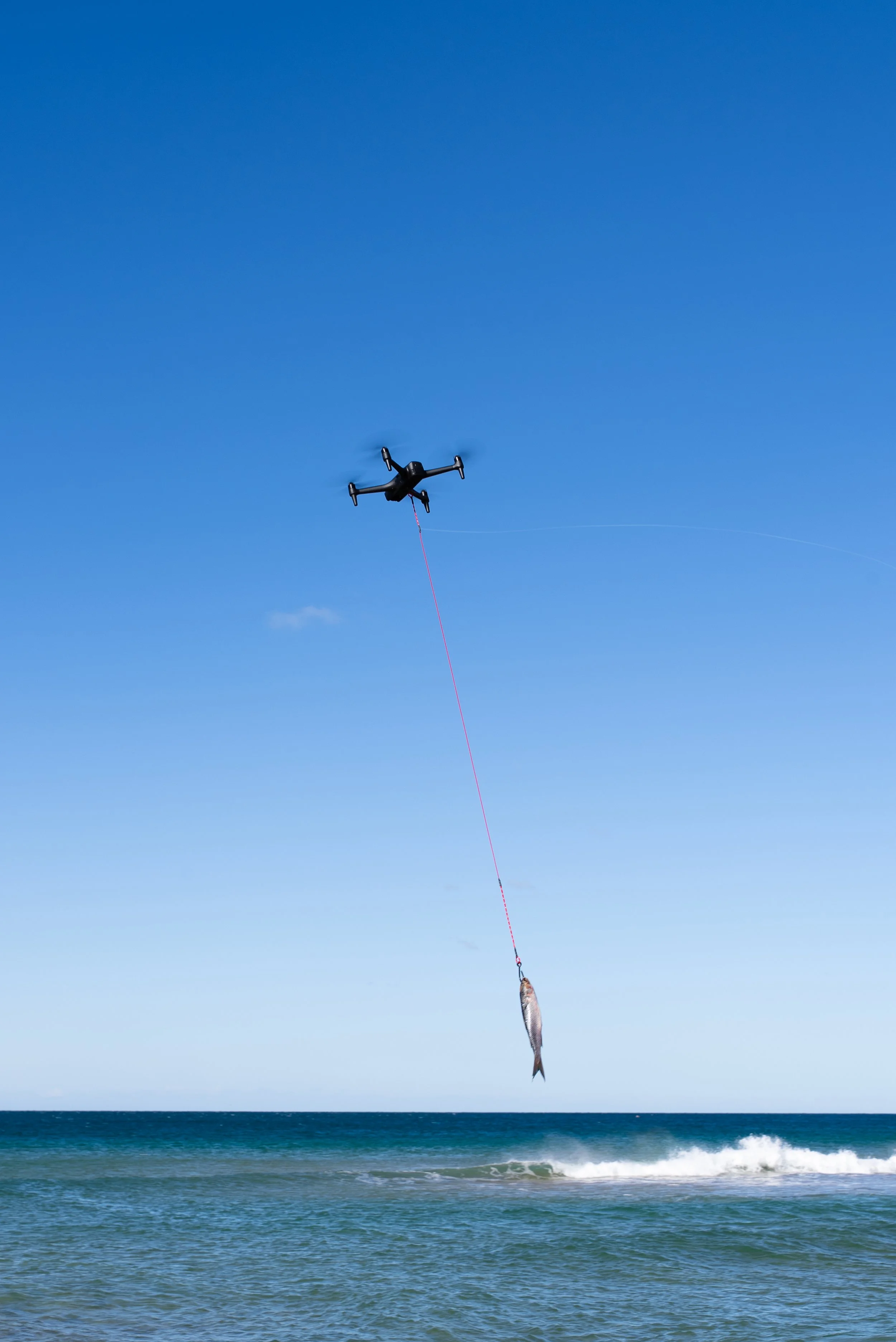 Copy of Aeroo Pro - Bait.jpg