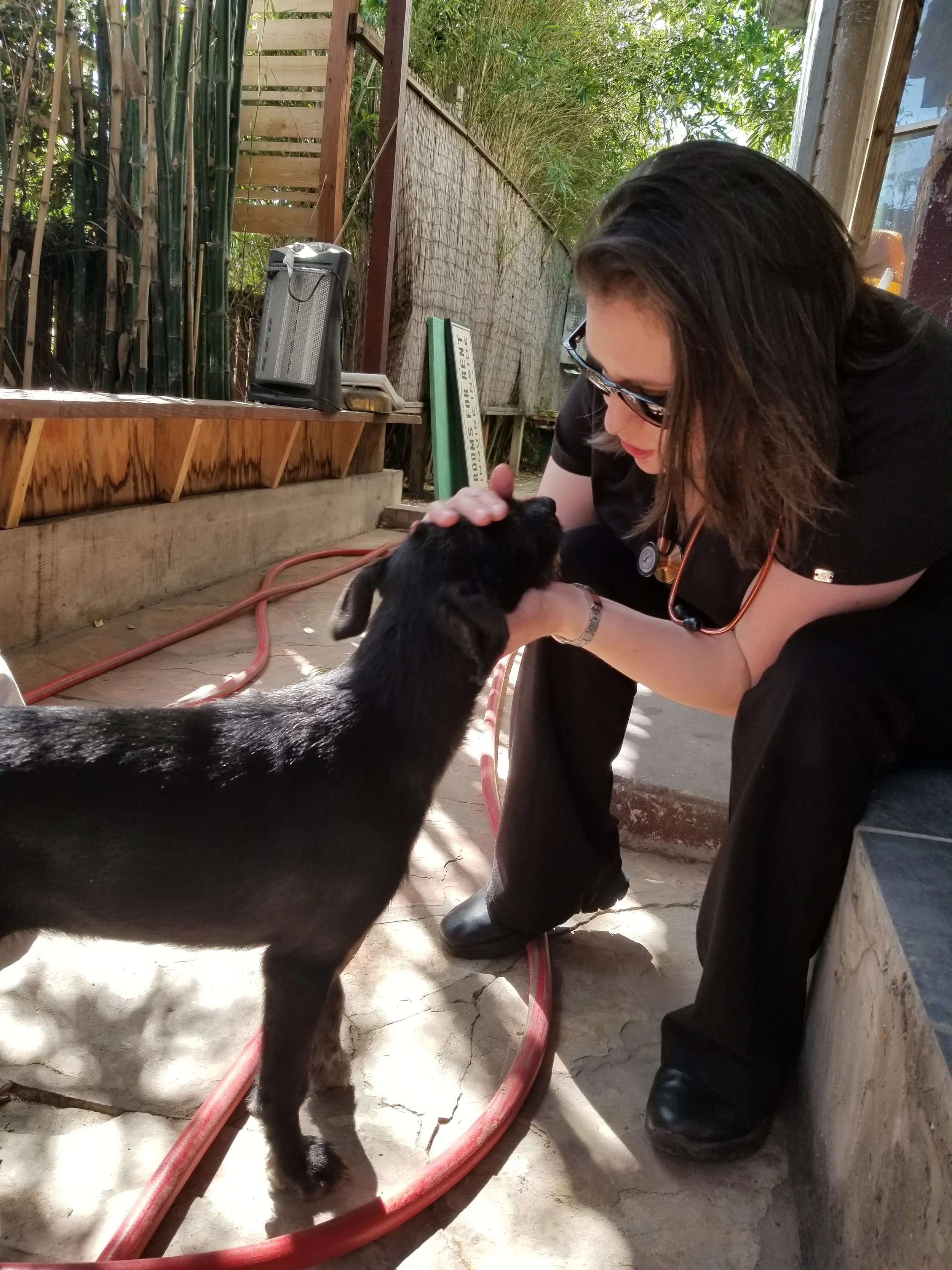 Patient Paws Mobile Vet