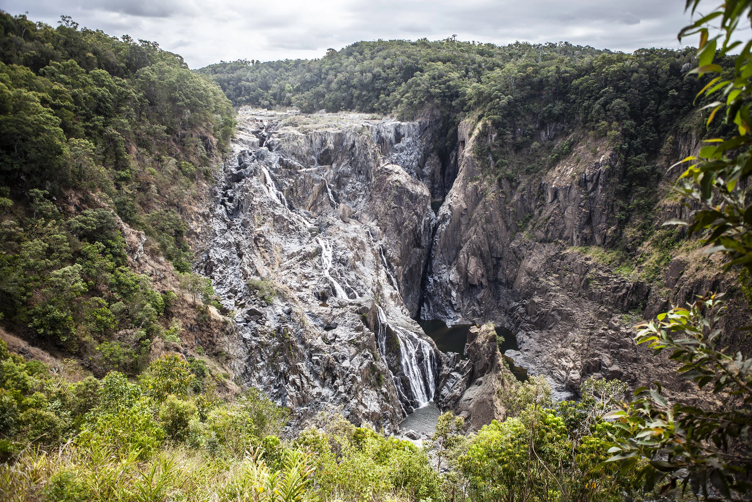 rainforrest_4.jpg