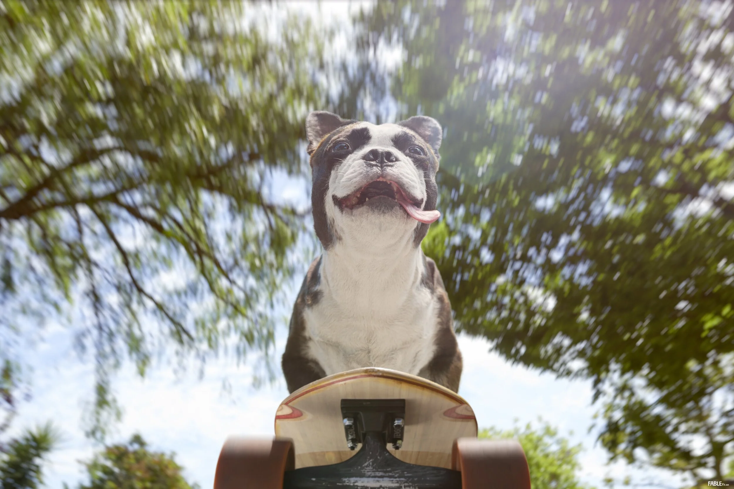 longboard_lbKV01_comp_005.FABLEfx.jpg